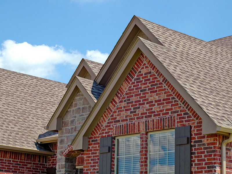 roof cleaning