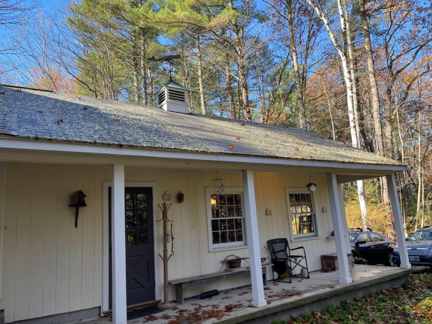 Moss treatment amherst