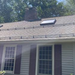 Roof Moss Treatment in Amherst, NH 0