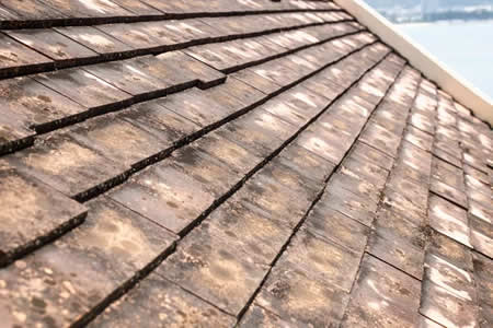 Roof algae removal merrimack nh
