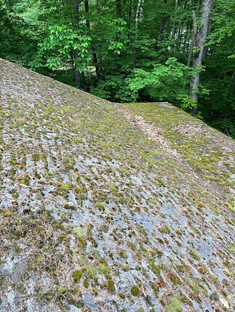 Roof cleaning for moss and black streaks what homeowners should expect